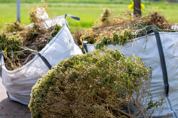 Best Professional Junk Removal  in Sleepy Hollow, CA